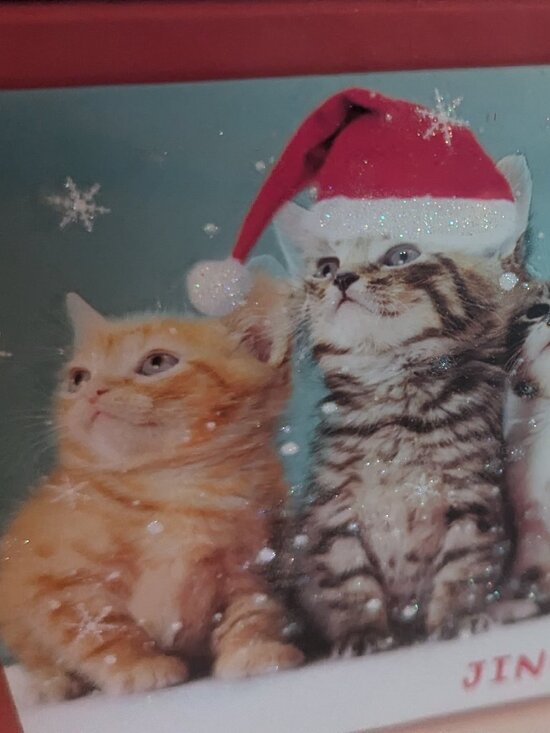 NWT 16 Kittens Santa Hats Christmas Holiday Cards American Greetings Sealed Box - Picture 3 of 6